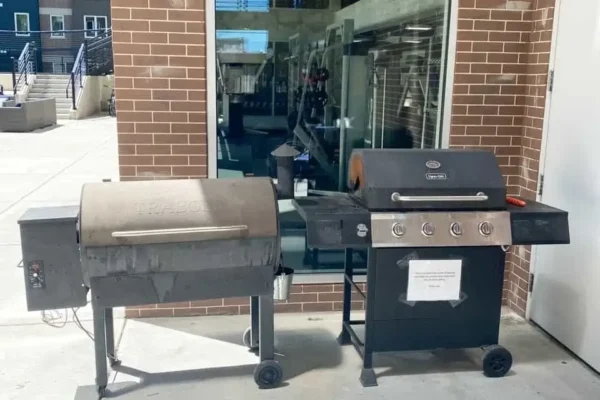 1030078499grill